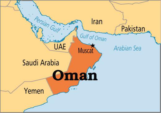 رایزن بازرگانی ایران در عمان میگوید به دلیل وضع قانون مالیات ارزش افزوده در امارات پیش بینی میشود بسیاری از صاحبان ایرانی شرکتها د